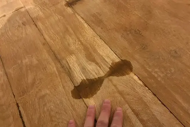 Hand resting on a hardwood floor stained by a leak
