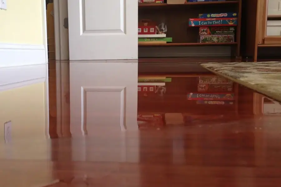 Standing water spread across a hardwood floor before extraction