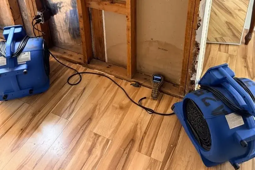 Air movers and a moisture meter drying a laminate floor beside an opened wall in a Spring Hill, TN home