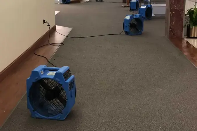 A row of blue air movers drying a carpeted hallway during a water damage restoration job in a Mount Pleasant, Tennessee home.