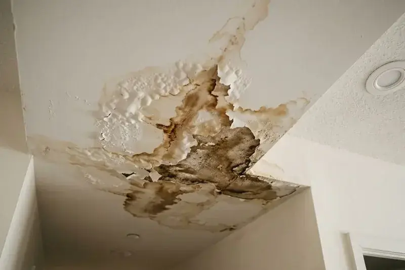 Brown water stain spreading across a ceiling corner, ceiling leak water damage in Spring Hill, TN